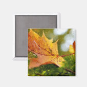 Herbst Magnet (Vorderseite/Rückseite)