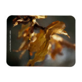 Herbst Magnet (Horizontal)