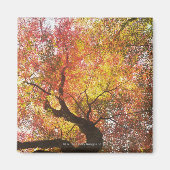 Herbst Magnet (Vorne)