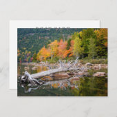 Herbst Maine Postkarte (Vorne/Hinten)