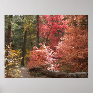 Herbst Majestät (3) Poster