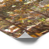 Herbst Majestät (3) Poster (Ecke)