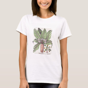 Herbst Mandrake, vom "Hortus Eystettensis" vorbei T-Shirt