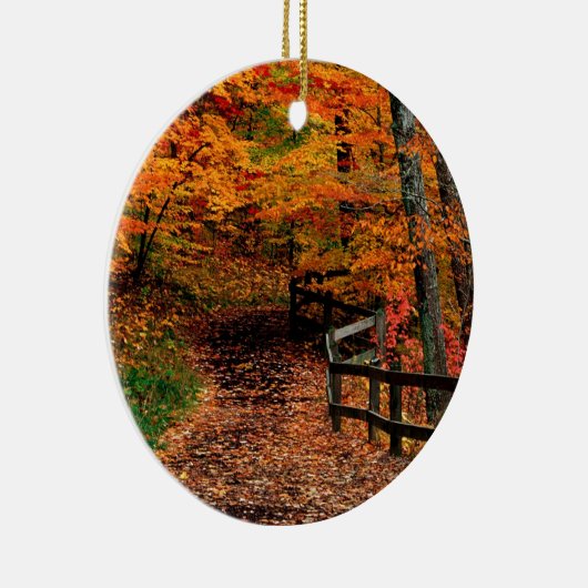 Herbst Mccormick Nebenfluss-Staats-Park Indiana Keramik Ornament (Rechts)