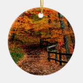 Herbst Mccormick Nebenfluss-Staats-Park Indiana Keramik Ornament (Vorne)