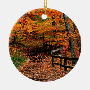 Herbst Mccormick Nebenfluss-Staats-Park Indiana Keramik Ornament