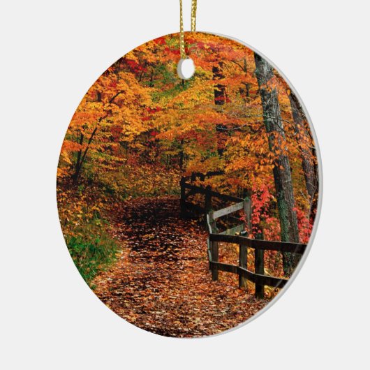 Herbst Mccormick Nebenfluss-Staats-Park Indiana Keramik Ornament (Links)