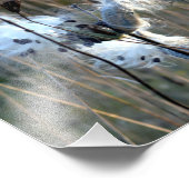 Herbst Milkweed Fotodruck (Ecke)