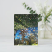 Herbst Miroir oder Spiegelpostkarte Postkarte (Stehend Vorderseite)