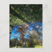 Herbst Miroir oder Spiegelpostkarte Postkarte (Vorderseite)