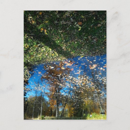 Herbst Miroir oder Spiegelpostkarte Postkarte (Vorderseite)