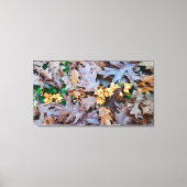 Herbst mit gelben Pilzen und braunen gefallenen Bl Leinwanddruck (Vorderseite)