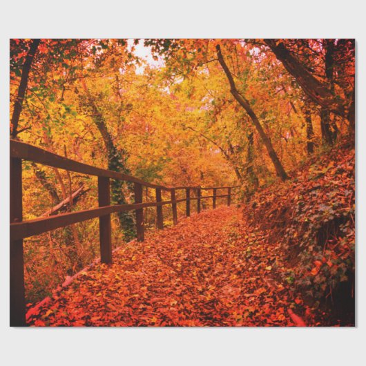 Herbst Moderne Geschenkwrap Blätter Orange Geschenkpapier (Flach)