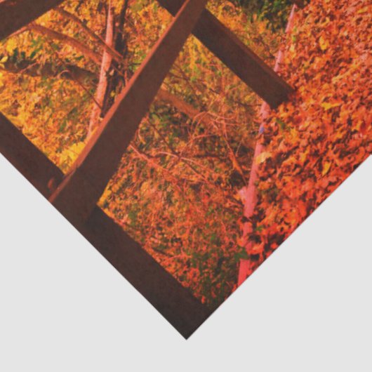 Herbst Moderne Geschenkwrap Blätter Orange Seidenpapier (Detail)