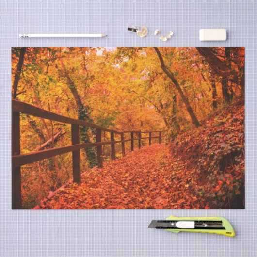 Herbst Moderne Geschenkwrap Blätter Orange Seidenpapier (Handwerk)