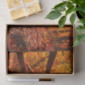 Herbst Moderne Geschenkwrap Blätter Orange Seidenpapier (Geschenk)