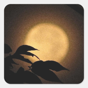 Herbst-Mond Quadratischer Aufkleber