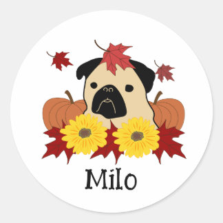 Herbst-Mops mit Blätter, Pumpkins und Sonnenblumen Runder Aufkleber