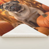Herbst-Mops Sherpadecke (3/4)