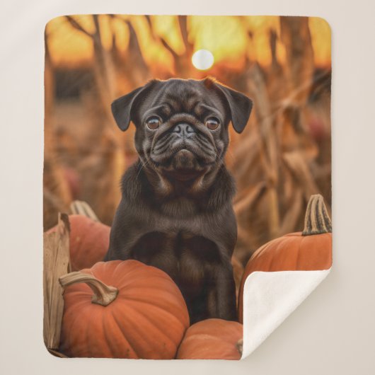 Herbst-Mops Sherpadecke (Vorderseite)