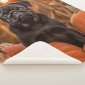 Herbst-Mops Sherpadecke (3/4)