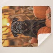 Herbst-Mops Sherpadecke (Vorderseite (Horizontal))