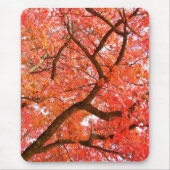 Herbst Mousepad Schöne Herbstlandschaft Geschenke (Vorne)