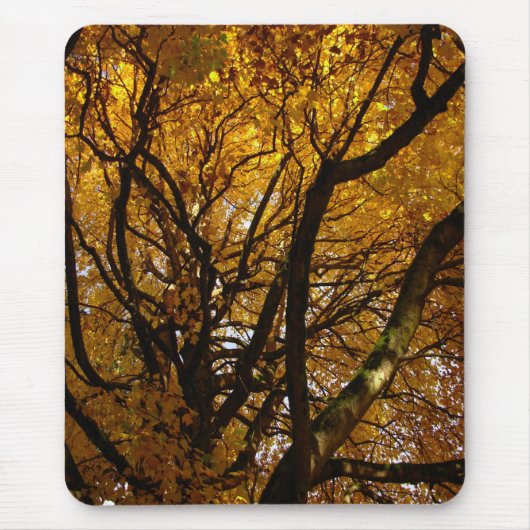 Herbst Mousepad Schöne Herbstlandschaft Geschenke (Vorne)