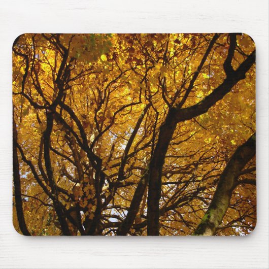 Herbst Mousepad Schöne Herbstlandschaft Geschenke (Vorne)