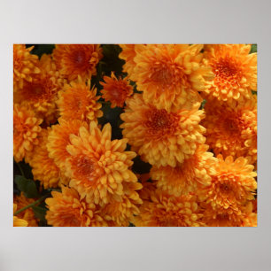 Herbst-Mums-Poster Poster