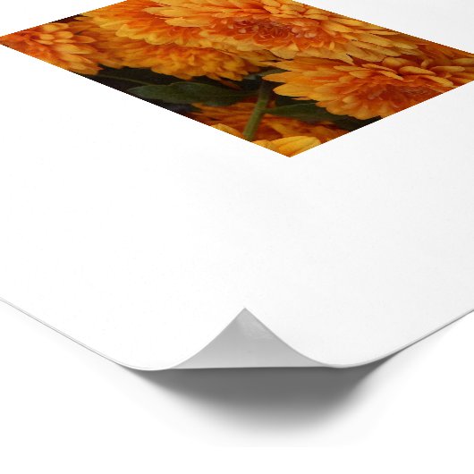 Herbst-Mums-Poster Poster (Ecke)