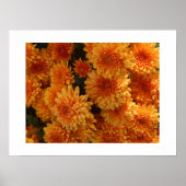 Herbst-Mums-Poster Poster (Vorne)