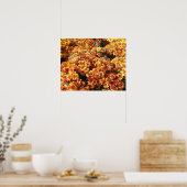 Herbst-Mütterchrysanthemen Poster (Küche)