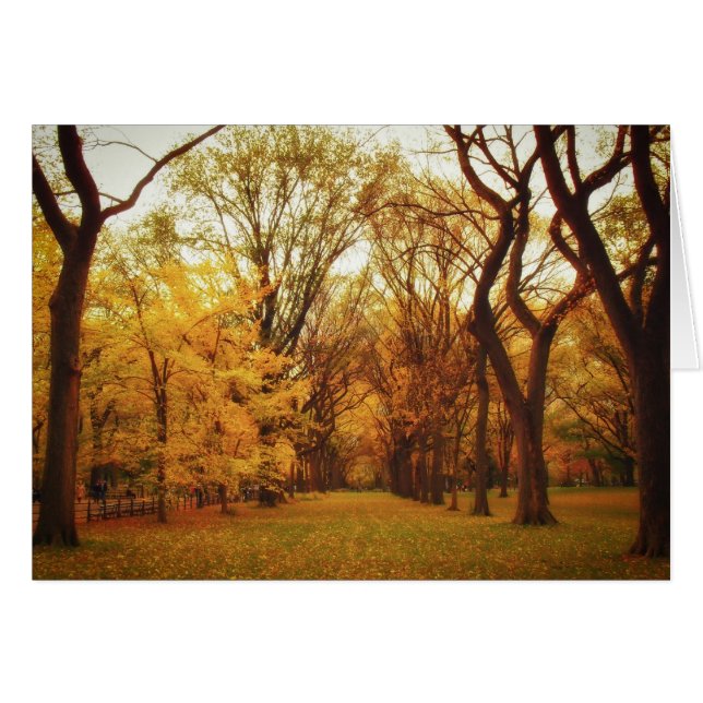 Herbst - New York City (Vorderseite (Horizontal))