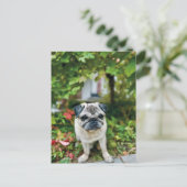 Herbst Niedlicher Mops Postkarte (Stehend Vorderseite)