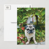 Herbst Niedlicher Mops Postkarte (Vorne/Hinten)