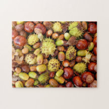 Herbst Nüsse und Conkers