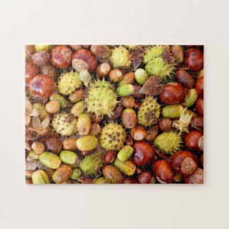 Herbst Nüsse und Conkers Puzzle