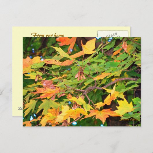 Herbst Oak Blätter Erntedank Postkarte (Vorne/Hinten)