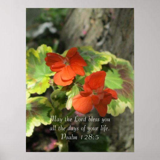 Herbst Orange Geraniums ~ Psalm 128:5 Poster (Vorne)