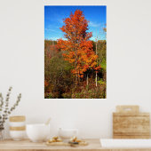 Herbst Orange Poster (Küche)