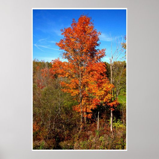 Herbst Orange Poster (Vorne)