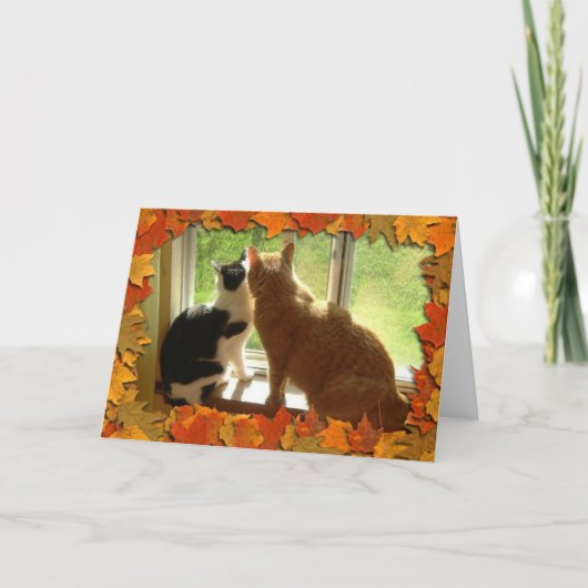 Herbst Orange Tabby Katzen Feiertagskarte (Vorderseite)