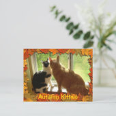 Herbst Orange Tabby Katzen Postkarte (Stehend Vorderseite)
