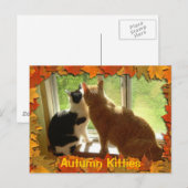 Herbst Orange Tabby Katzen Postkarte (Vorne/Hinten)