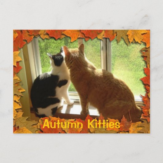 Herbst Orange Tabby Katzen Postkarte (Vorderseite)