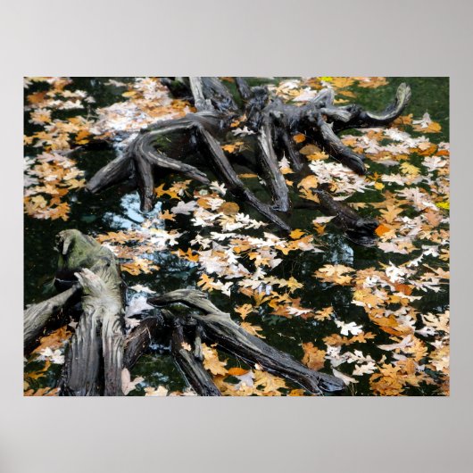 Herbst-Otter-Teich aus Blättern Poster (Vorne)