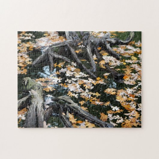 Herbst-Otter-Teich der Blätter Puzzle (Horizontal)