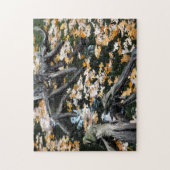 Herbst-Otter-Teich der Blätter Puzzle (Vertikal)
