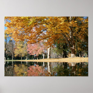 Herbst-Park, Teich Poster